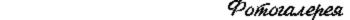 photos.gif (1175 bytes)